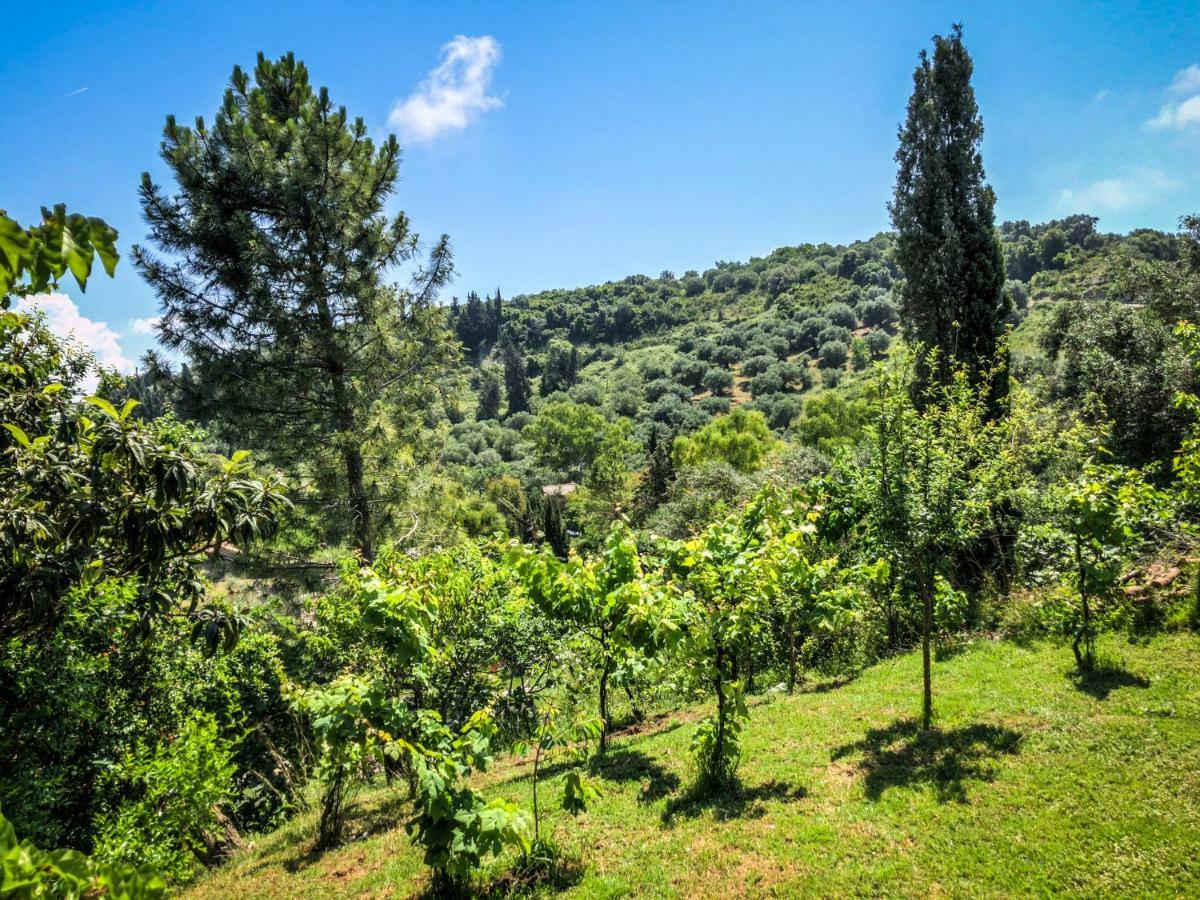Hidden Gem In Nature Reserve Near The Beach - Corfu South Kritika  Екстер'єр фото
