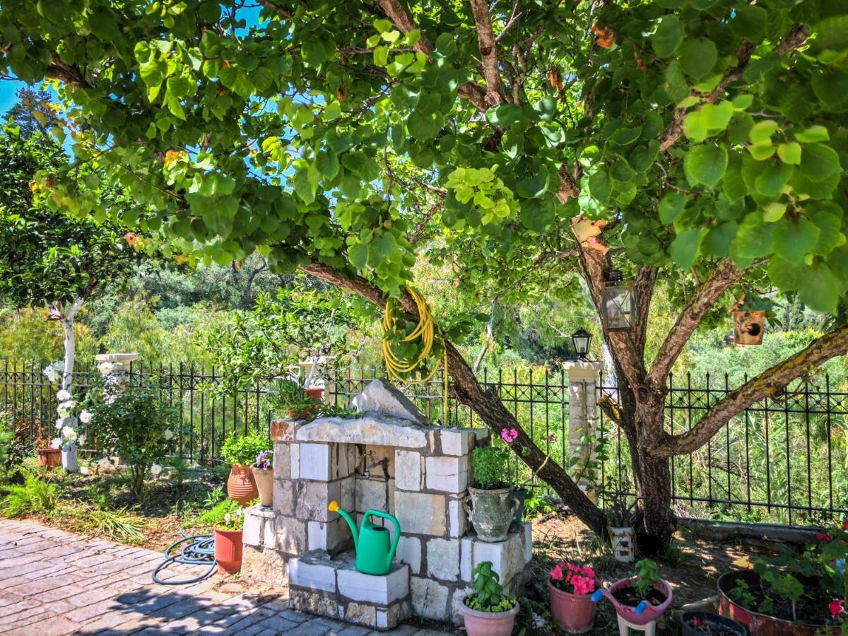 Hidden Gem In Nature Reserve Near The Beach - Corfu South Kritika  Екстер'єр фото
