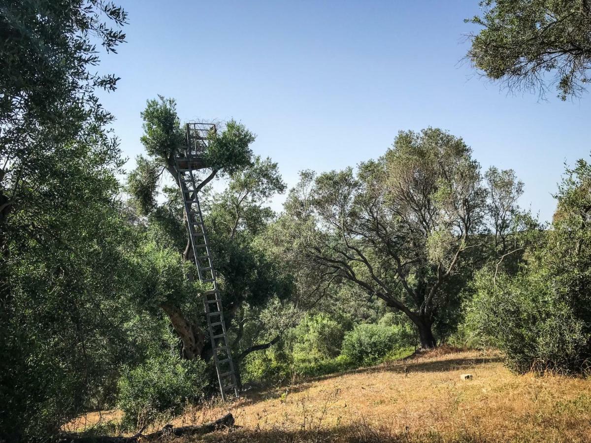 Hidden Gem In Nature Reserve Near The Beach - Corfu South Kritika  Екстер'єр фото